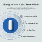 NAD+ Supplement for Men