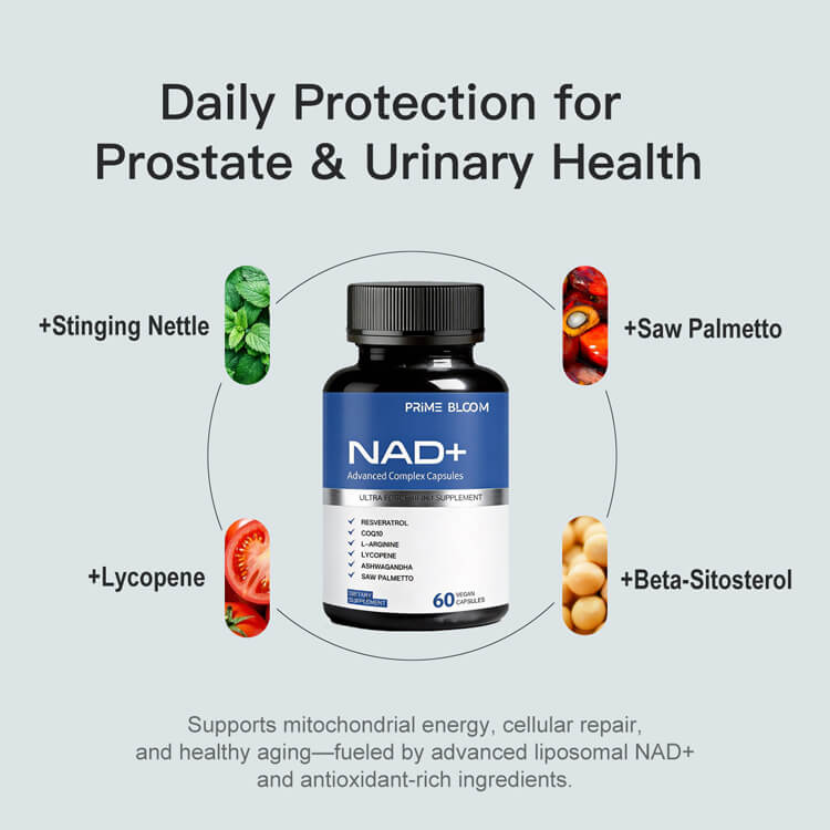 NAD+ Supplement for Men