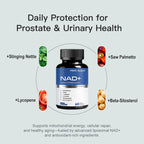 NAD+ Supplement for Men